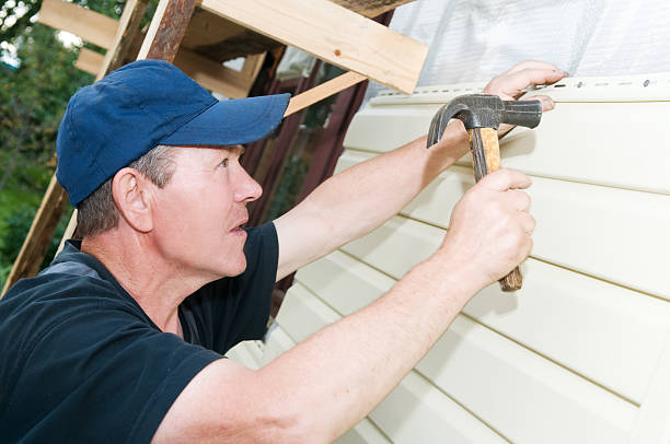 Best Insulated Siding Installation  in Rodney Village, DE