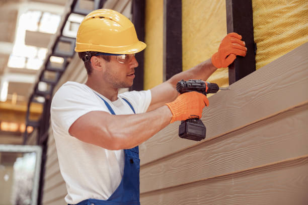 Best Vinyl Siding Installation  in Rodney Village, DE